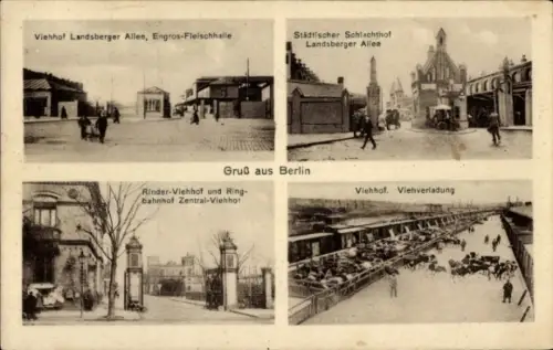 Ak Berlin, Viehhof, Städtischer Schlachthof Landsberger Allee, Engros-Fleischhalle, Ringbahnhof