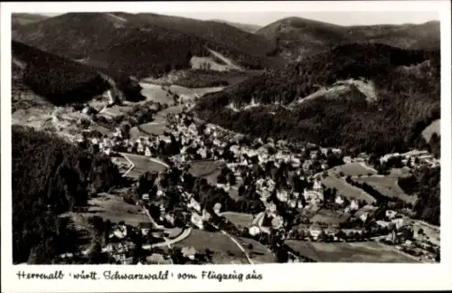 Ak Bad Herrenalb im Schwarzwald, Luftaufnahme von  Schwarzwald, Fluss, Wälder, Häuser