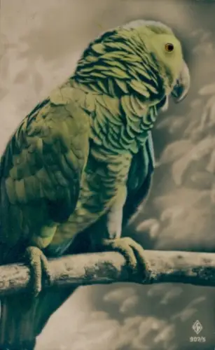 Material Ak Papagei, Vogel