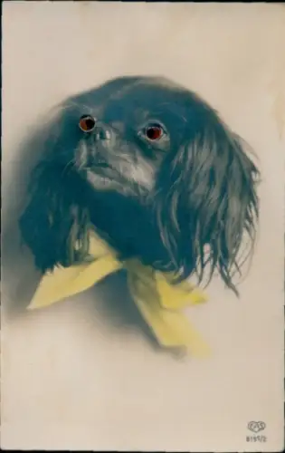 Material Ak Hund mit Plastikaugen