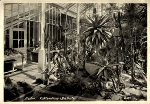 Ak Berlin Mitte, Kakteenhaus i. Bot. Garten