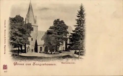 Ak Sangerhausen am Südharz, Marienkirche, Bäume, Straße, Sangerhausen