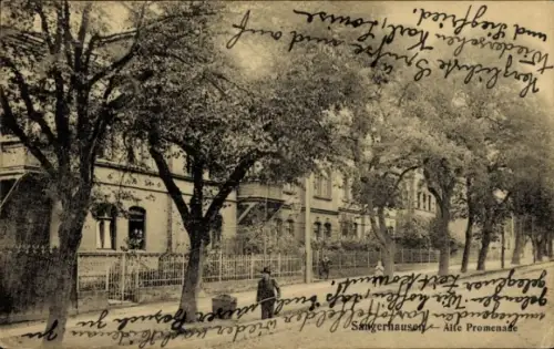 Ak Heidenau in Sachsen, Alte Promenade, Bäume, Straße, Person, 