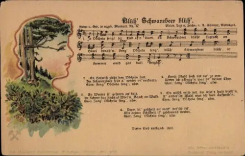 Lied Ak Günther, Anton, Erzgebirgische Mundart 17, Blüh' Schwarzbeer blüh'