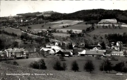 Ak Laaben Spitz in Niederösterreich, Sommerlandschaft, Ort  Wienerwald,  mit Stempel