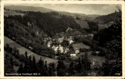 Ak Waldbach Steiermark, Gesamtansicht