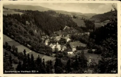 Ak Waldbach Steiermark, Gesamtansicht