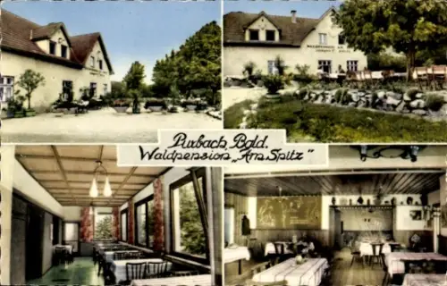 Ak Purbach am Neusiedler See Burgenland, Waldpension am Spitz