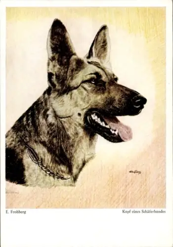 Künstler Ak Frohberg, E., Deutscher Schäferhund, Kopfstudie, Rassehund