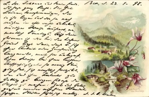Litho Les Avants Montreux Kanton Waadt, Teilansichten, Alpenveilchen