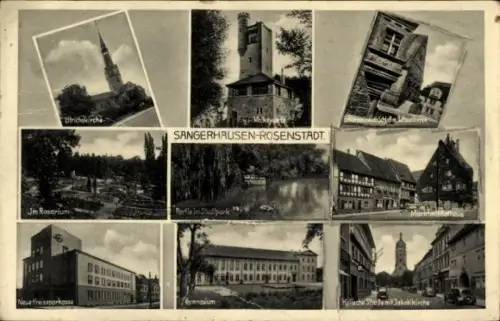 Ak Sangerhausen in Sachsen Anhalt, Ulrichskirche, Rosarium, Gymnasium, Markt mit Rathaus