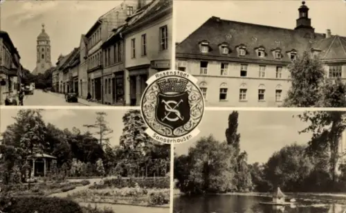 Ak Sangerhausen am Südharz, Vierteilige Ansicht von  Rosenstadt, Stadtansicht, Natur
