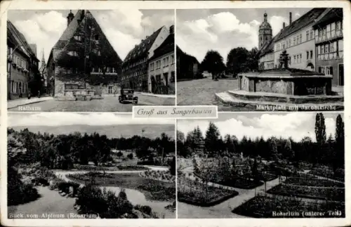 Ak Sangerhausen am Harz, Rathaus, Marktplatz mit Jacobikirche, Blick vom Alpinum, Rosarium
