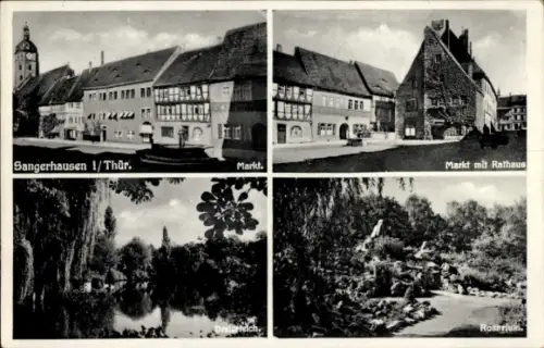Ak Sangerhausen am Harz,  Markt, Rathaus, Dreiertelch, Rosarium