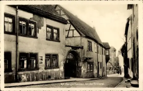 Ak Sangerhausen am Harz, All- An der Trillerei, Straßenansicht,  Gebäude