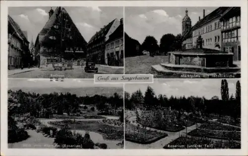 Ak Sangerhausen am Harz, Rathaus, Marktplatz mit Jacobikirche, Rosarium, Sangerhausen