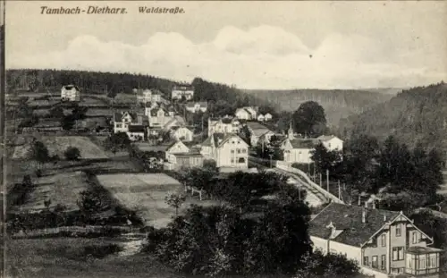 Ak Tambach Dietharz in Thüringen, Waldstraße