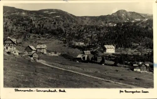 Ak Donnersbach Steiermark, Planneralm, Ort