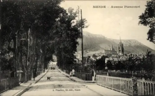 Ak Mende Lozère, Avenue Plencourt,  Bäume, Straße, Kirche im Hintergrund
