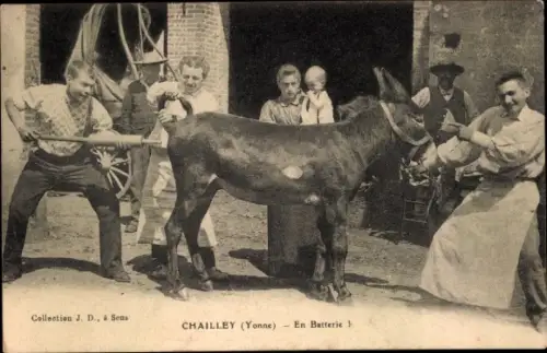 Ak Chailley Yonne, En Batterie, Esel, Künstliche Besamung?
