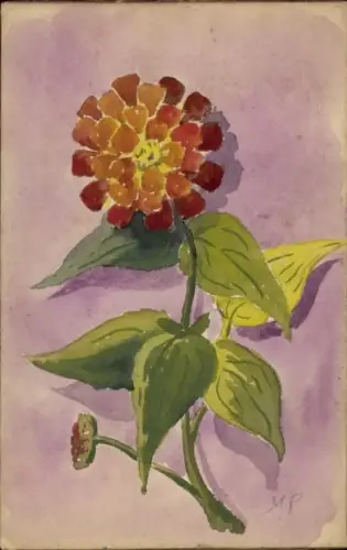 Handgemalt Ak Blühende Blume