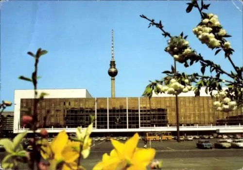 Ak Berlin Mitte, Palast der Republik, Fernsehturm, Blumen im Vordergrund