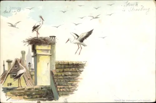 Künstler Ak Strasbourg Straßburg Elsass Bas Rhin, Ankunft der Störche