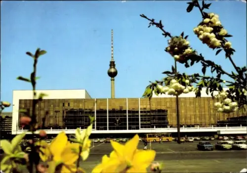 Ak Berlin Mitte, Palast der Republik, Fernsehturm, Blumen im Vordergrund