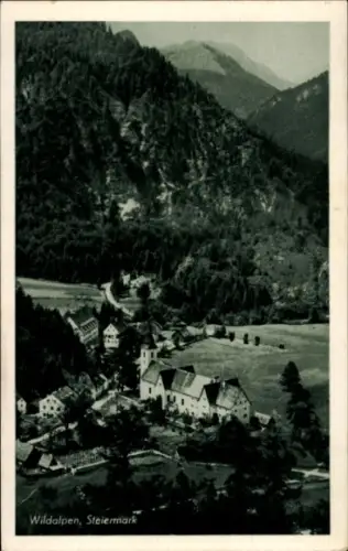 Ak Wildalpen Steiermark, Teilansicht