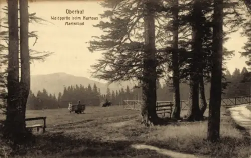 Ak Mariánské Lázně Marienbad Region Karlsbad, Oberhof, Waldpartie beim Kurhaus,  Bäume, Bank, Lan