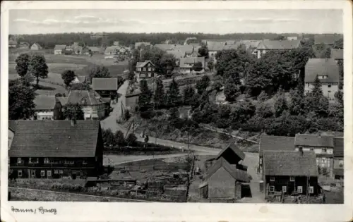 Ak Tanne im Oberharz, Blick auf den Ort, Häuser