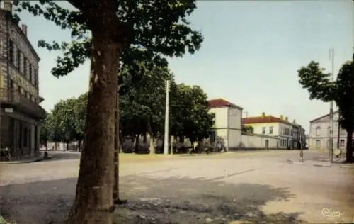 Ak Castelsarrasin Tarn et Garonne, Straße mit Bäumen, Häusern, ruhige Szenerie, Ort: Castelsarras
