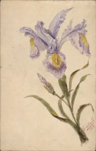 Handgemalt Ak G. Latieule, Iris, 1917