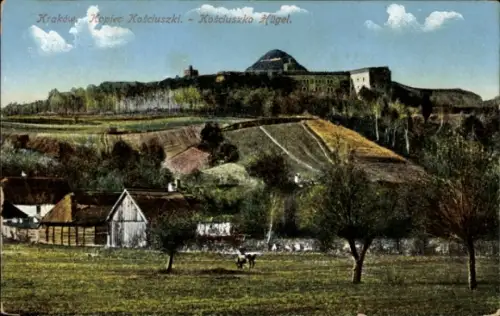 Ak Bielany Kraków Krakau Polen, Kopiec Kościuszki, Landschaft, Bauernhäuser, Kühe, Kraków