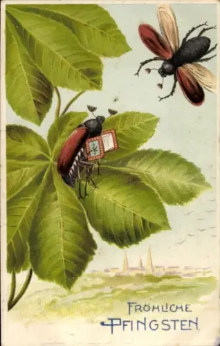 Präge Ak Frohe Pfingsten, Maikäfer auf Kastanienblättern
