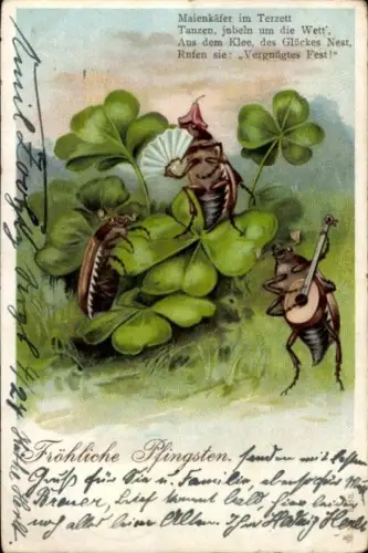 Präge Ak Frohe Pfingsten, Maikäfer auf Kleeblättern, Maienkäfer im Terzett