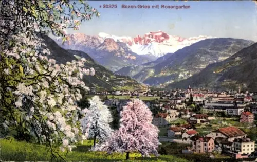 Ak Bozen Bolzano Südtirol, Rosengarten und Blick auf die Stadt