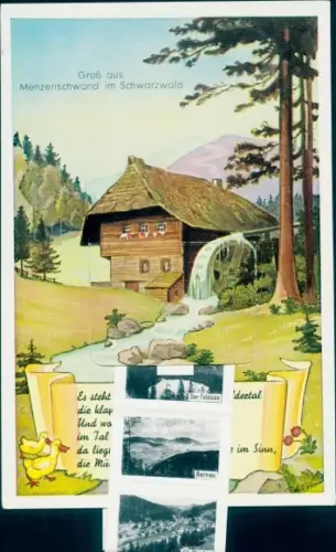 Leporello Ak Menzenschwand Sankt Blasien im Schwarzwald, Feldsee, Bernau
