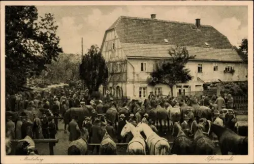 Ak Moritzburg in Sachsen, Pferdemarkt
