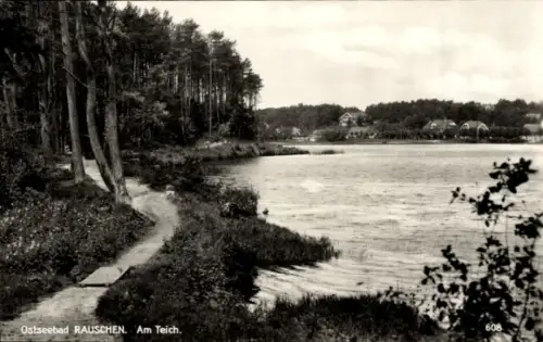 Ak Swetlogorsk Rauschen Ostpreußen, Teich