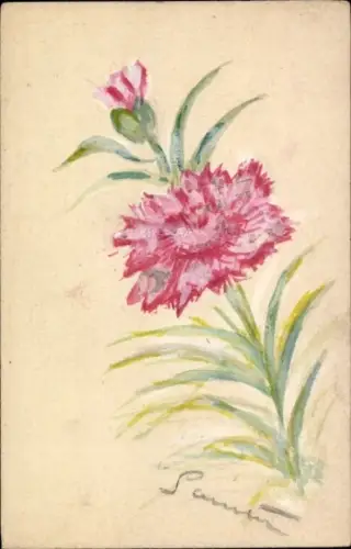 Handgemalt Künstler Ak Nelken