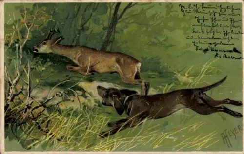 Ak Colmar Kolmar Elsass Haut Rhin, Reh, Hund, Wald, M. l. c. kummi cheylichen wachten Fal. thw...