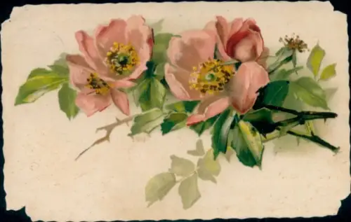 Künstler Ak Blumen, Rosen