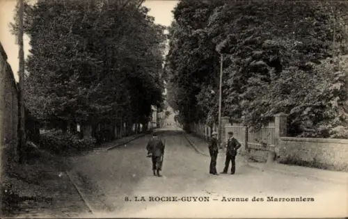 Ak La Roche-Guyon Val d'Oise, Avenue des Marronniers