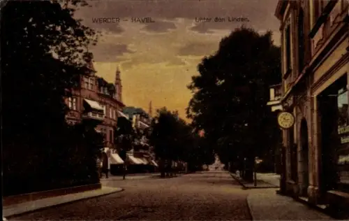 Ak Werder an der Havel, Unter den Linden, Geschäfte
