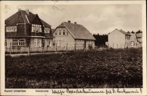 Ak Unterlüß Unterlüss Südheide, Waldstraße