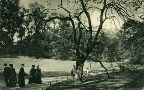 Ak Düsseldorf am Rhein, Hofgarten