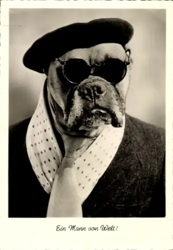 Ak Ein Mann von Welt, Boxer in Baskenmütze, Brille und Krawatte