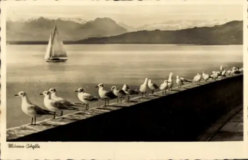 Ak Möwen Idylle, Segelboot