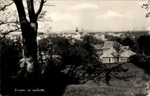 Ak Leitersdorf Krosno Odrzańskie Crossen an der Oder, Gesamtansicht